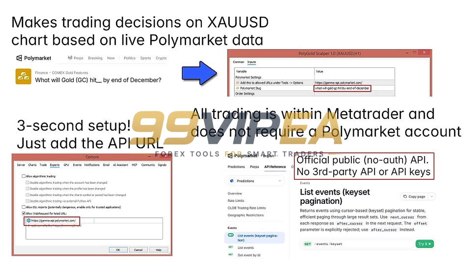 PolyGold Scalper MT5 Review 2